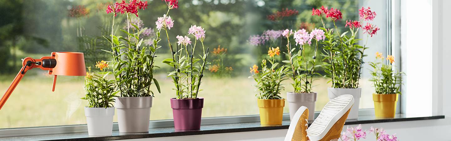 b.for original rund 14cm living schwarz